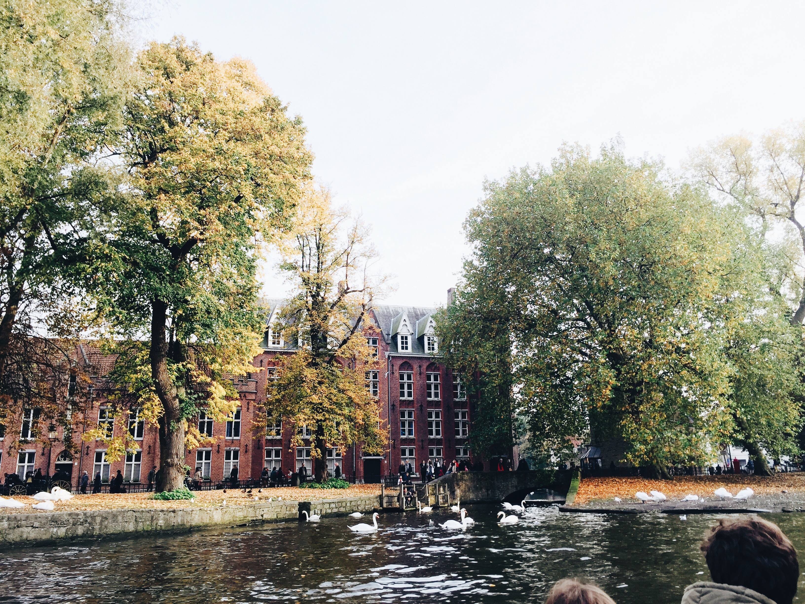 36137102_10216561660492649_5230081010342821888_n